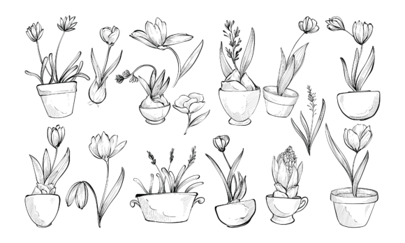 Decorative Plants Handdrawn Collection: A Designer's Organic Toolkit