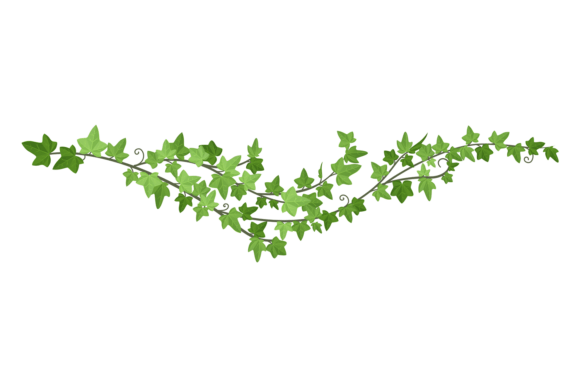 Liana Green Border Decorative Ivy: A Natural Accent for Any Design