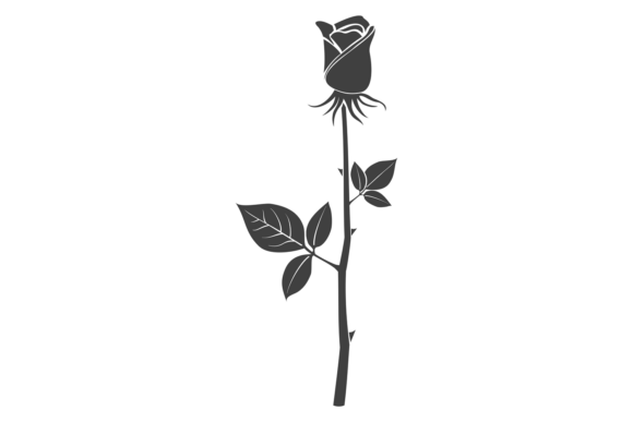 The Botanical Elegance of the Rose Bud Decorative Floral Element